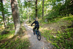 MTB-cyklist i skogen