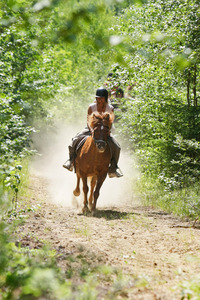 Ryttare till häst på skogsväg
