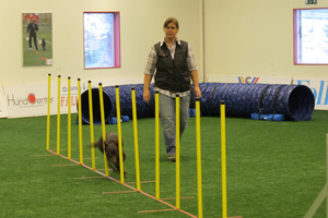 Katja Börjesson tränar med sin hund i HundArenan